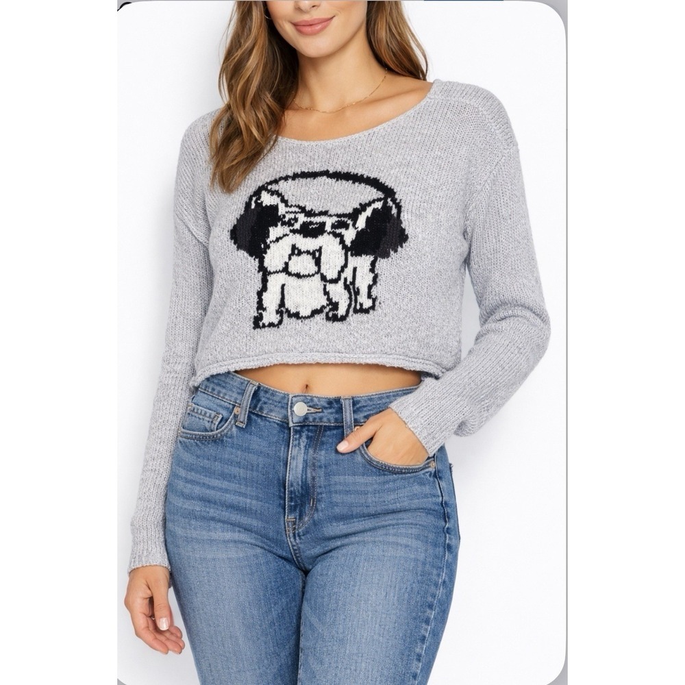Abercrombie & Fitch Cropped Dog Sweater XS S Gray Knit Long Sleeve (Rip In Back)